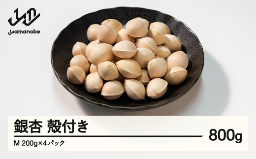 ≪先行予約≫2025年 山形県産 銀杏 殻付き M 約1kg（200g×5パック） 2025年10月中旬から順次発送 ぎんなん おつまみ 真空パック 個包装 小分け 秋 野菜 F20A-729