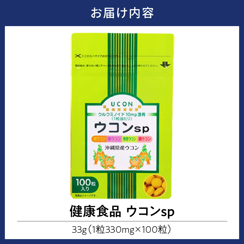 健康食品 ウコン sp(1粒330mg×100粒)