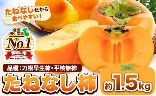 たねなし柿（刀根早生柿・平核無柿）約1.5kg《2025年9月中旬-11月上旬頃出荷(土日祝除く)》 和歌山県 岩出市 種なし柿 柿 果物 フルーツ 2L～Mサイズ カキ 