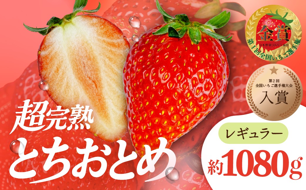 
                  いちご 「茂木完熟いちご」いちご選手権入賞 とちおとめ レギュラーサイズ 約270g×4パック 合計 約1080g【選べる発送月】 | いちご イチゴ 苺  とちおとめ ストロベリー 完熟 甘い あまい  第１回いちご選手権入賞  果物 フルーツ くだもの 旬 産地直送 栃木県産 美土里農園 栃木県 茂木町
                