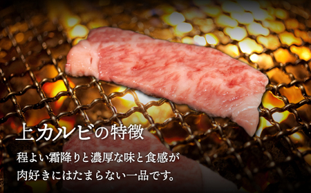 【A4/A5ランク黒毛和牛】びらとり和牛上カルビ焼700ｇ BRTB019
