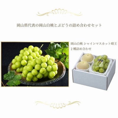【先行受付】岡山県産　岡山白桃ロイヤル2L250g×2玉・シャインマスカット晴王500g×1房　詰合【配送不可地域：離島・北海道・沖縄県】【1308770】