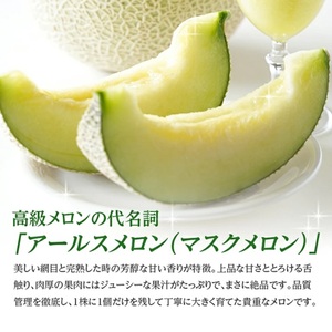 SA2714　アールスメロン 大玉　3.6kg以上(2玉入) つる付き