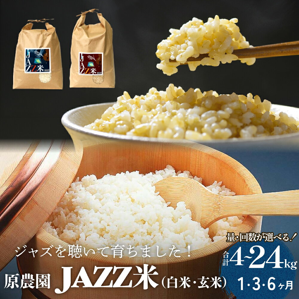 【ふるさと納税】【令和8年産】原農園 JAZZ米 白米 玄米 4kg -10kg 1回 3回 6回 選べる 定期便 ジャズ米 ジャズ ひとめぼれ 米 お米 こめ コメ ご飯 ヒトメボレ 常温 大分県 大分 玖珠町 玖珠