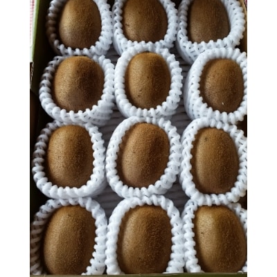 キウイフルーツ(ヘイワード)約2kg【1178154】