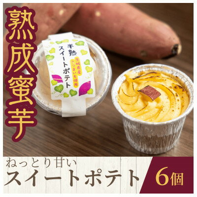 【ふるさと納税】熟成蜜芋 ねっとり甘い 半熟スイートポテト120g×6個【配送不可地域：離島・沖縄県】【1618095】