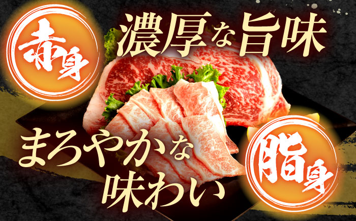 【12回定期便】長崎和牛 ステーキ・焼肉セット 600g×2パック / 牛肉 ぎゅうにく 肉 和牛 国産牛 焼き肉 やきにく ステーキ すてーき / 諫早市 / 西日本フード株式会社 [AHAV036
