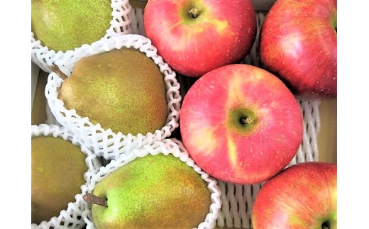 【２０２７年１月～発送】ラ・フランスとサンふじりんご詰合せ　３ｋｇ　ご家庭用　0075-2612