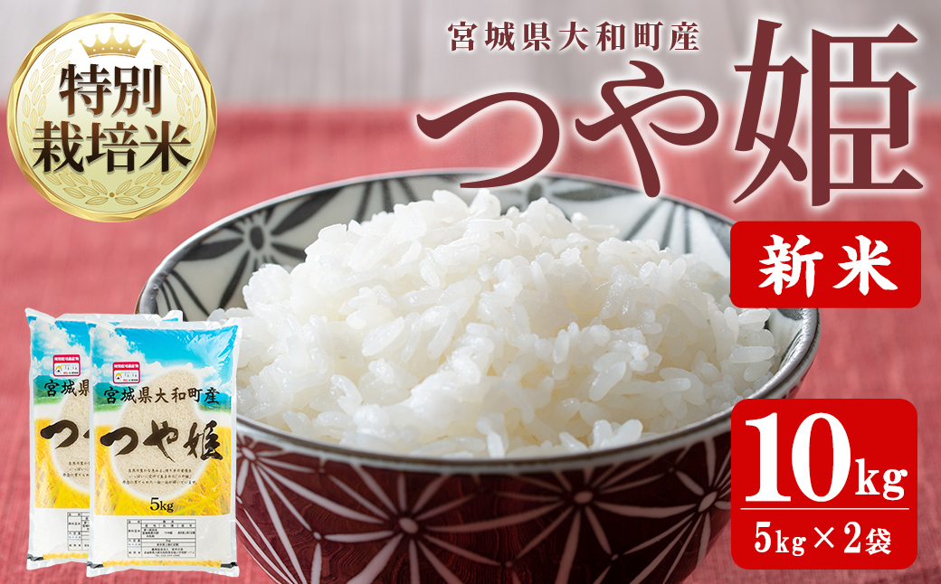 【令和7年産 新米】特別栽培米 つや姫 10kg お米 おこめ 米 コメ 白米 ご飯 ごはん おにぎり お弁当【農事組合法人若木の里】ta537