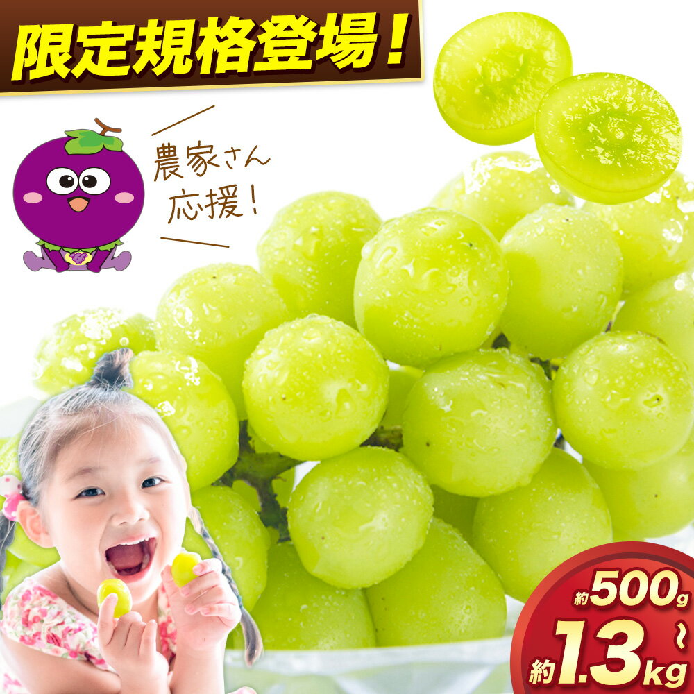 【ふるさと納税】【先行予約】一大産地よりお届け！訳あり シャインマスカット 約500g〜約1.3kgまで選べる内容量 《2025年8月上旬-8月下旬頃出荷》訳あり シャインマスカット マスカット ぶどう フルーツ 果物 大阪府 羽曳野市 シャイン 食べやすい