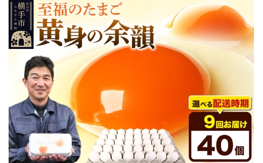 《定期便9ヶ月》黄身の余韻 40個（業務用）