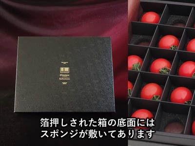 高糖度ミニトマト：クラシックトマト『ラフマニノフ』約300ｇ箱〈出荷時期:2024年1月以降発送〉 【 トマト 長野県 佐久市 】