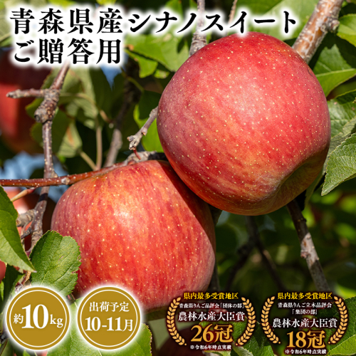 2026年産１０月・１１月発送　贈答用シナノスイート10ｋｇ　【そと川りんご園・１０月・１１月・青森県産・平川市・りんご・シナノスイート・10ｋｇ・贈答用】