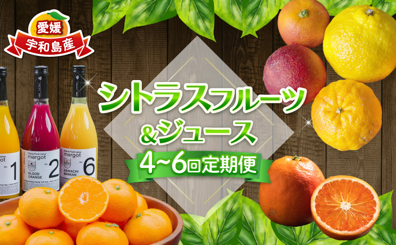 
            シトラス フルーツ ＆ ジュース 選べる 回数 4回 ~ 6回 定期便 コルレオファーム 極早生 宮川早生 南柑20号 ブラッドオレンジ モロ 甘平 はるか ポンカン タロッコ せとか 清見 不知火 シトラスジュース 720ml ✕ 3本 詰め合わせ 愛媛ミカン 愛媛みかん みかん 柑橘 蜜柑 温州 果物 くだもの 産地直送 数量限定 先行予約 国産 愛媛 宇和島
          