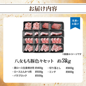 八女もち豚色々セット 計約3キロ 072-209