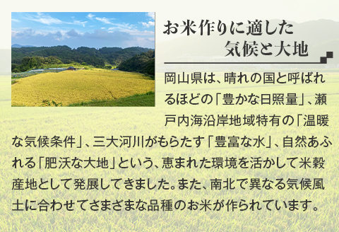 令和7年産【無洗米】岡山県産こしひかり10kg（5kg×2袋）【3ヶ月連続お届け】