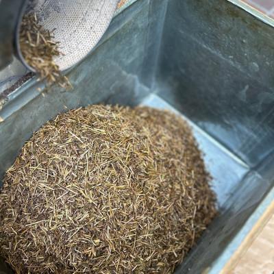 ふるさと納税 大田区 さつき濃神谷園　焙煎ほうじ茶 |  | 01