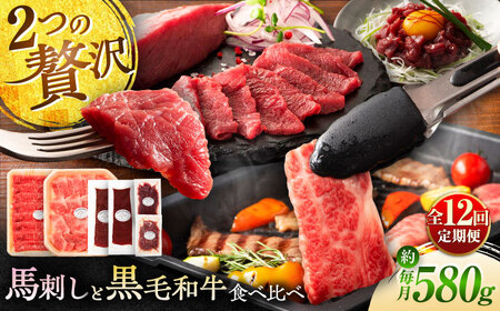 【全12回定期便】「熊本特産馬刺しとくまもと黒毛和牛」フジチクオリジナル贅沢食べ比べセット 3905 食べ比べセット 食べ比べセット 食べ比べセット 食べ比べセット 食べ比べセット[BHAD053]