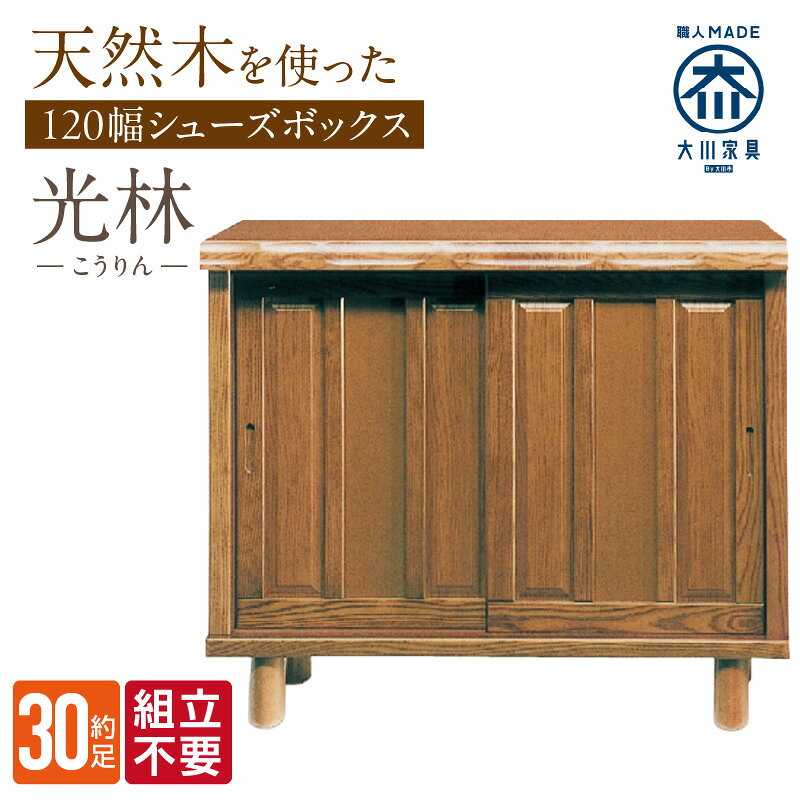 【ふるさと納税】大川家具 シューズボックス 光林 幅 120cm ブラウン ロータイプ 国産 靴箱 組立不要 アジャスター 調整可能 可動棚 有効活用 収納力 実用性 玄関収納 デザイン 和風 洋風 インテリア 収納 日本製 お取り寄せ 福岡県 久留米市 送料無料