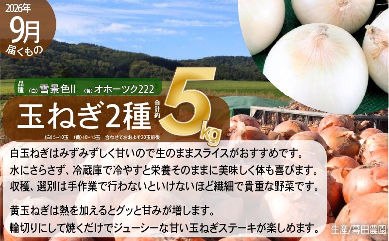 【2026年発送】全5回 富良野 専門農家が選ぶ 旬の贅沢 定期便 北海道 富良野市 老節布 野菜 アスパラ ハウス 露地 ミニトマト とうもろこし スイートコーン 玉ねぎ たまねぎ 玉葱 甘い