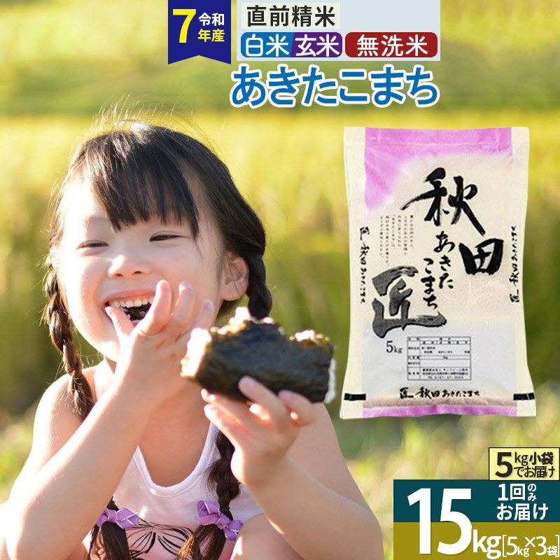 【ふるさと納税】【白米／玄米／無洗米】※R7※秋田県産 あきたこまち 15kg (5kg×3袋) 令和7年産 15キロ お米 匠