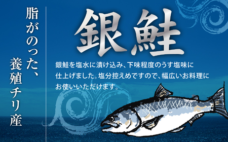 鮭の食べ比べ ( 銀鮭16切 / 紅鮭16切) 切り身 小分け 加熱用 冷凍 うす塩 塩竈市 塩釜水産食品