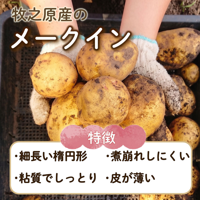 【先行予約 2027年3月順次発送 国産 じゃがいも】掘りたてメークイン 4kg  新じゃが 国産 牧之原産  丸新柴本製茶 静岡 県 牧之原市