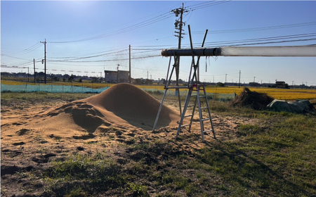 令和7年産 ハツシモ 白米 10kg 精米 米 ブランド米 岐阜市 / 川瀬ファーム[ANIB002]