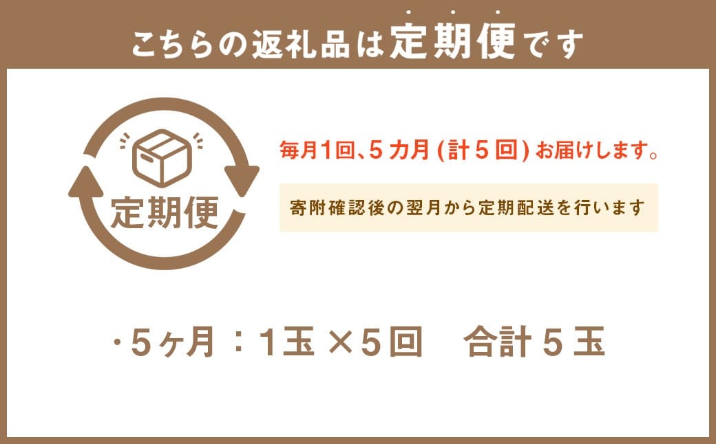 【5ヶ月定期便】訳あり静岡県産アローマメロン 1玉（1玉 約1.0kg以上）