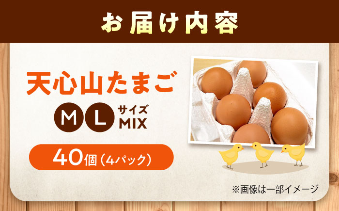 天心山 たまご 40個(10個入り×4パック) 卵 たまご 高級 食品 たまごかけご飯 卵かけご飯 卵焼き 生卵 濃厚 ケーキ お菓子 づくり ランキング 上位 人気 おすすめ  広島県福山市/天心山