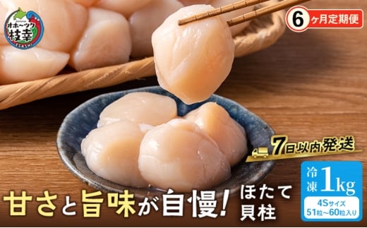 全6回 定期便 プロも認めるオホーツクブランド「枝幸ほたて」冷凍貝柱1kg （4Sサイズ：51粒～60粒）枝幸漁協 【 刺身 魚介 帆立 超目玉 魚貝類 貝類 海の幸 枝幸産 つまみ 肴 お酒のお供 お酒のあて 北海道 オホーツク 枝幸 】