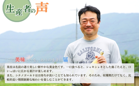 【2025年先行予約】りんご シナノゴールド 12〜20玉 約5kg ｜ りんご りんご りんご りんご りんご りんご