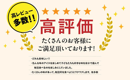 【合計　22個】ジェラートおまかせ　22種セット