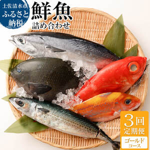 <3回定期便> 季節の鮮魚 おまかせお楽しみセット（ゴールドコース） 【J00047】