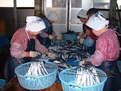 さんま丸干し　20本　魚作商店3代目の丸干し製法