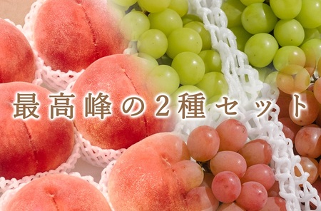 【定期便】甲州市自慢のたっぷり2種セット"桃5kg"と"シャイン＆サンシャインレッド4房入"自然農法【2026年発送】（BNC）H2-425 桃 シャインマスカット サンシャインレッド フルーツ