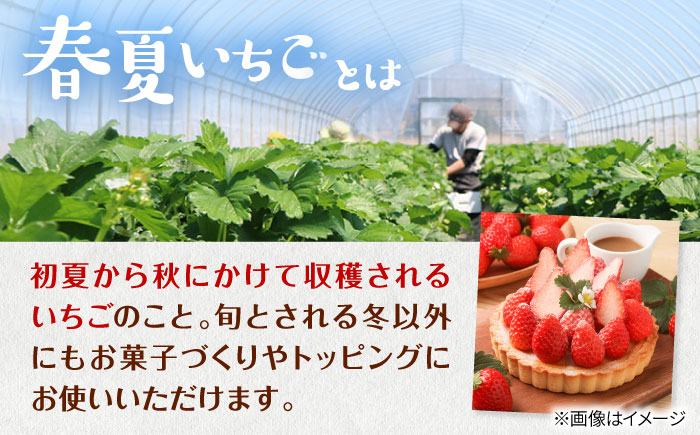 【先行予約 2026年5月以降順次発送】春夏イチゴ「ゆきララ」計600g《厚真町》【こばやしいちご農園】 [AXBT002]