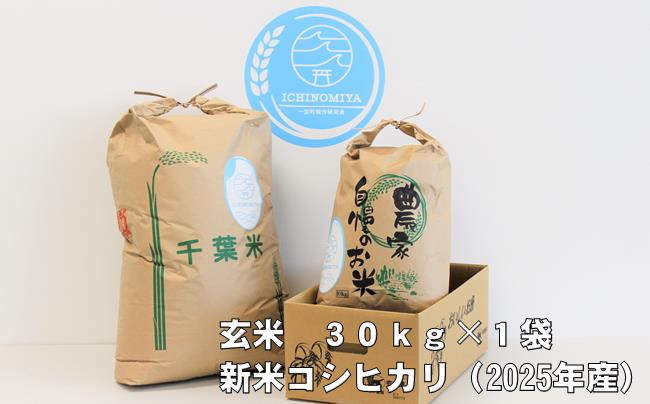 千葉県一宮町産コシヒカリ（玄米３０㎏）令和７年産米【2025年発送分】　一等米　先行予約