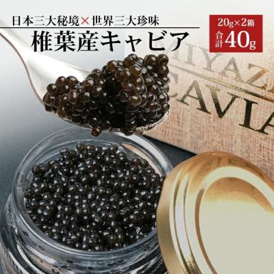 ふるさと納税 椎葉村 【桐箱入り】HEIKE CAVIAR 40g 【宮崎県 椎葉村】フレッシュキャビア SZ-105