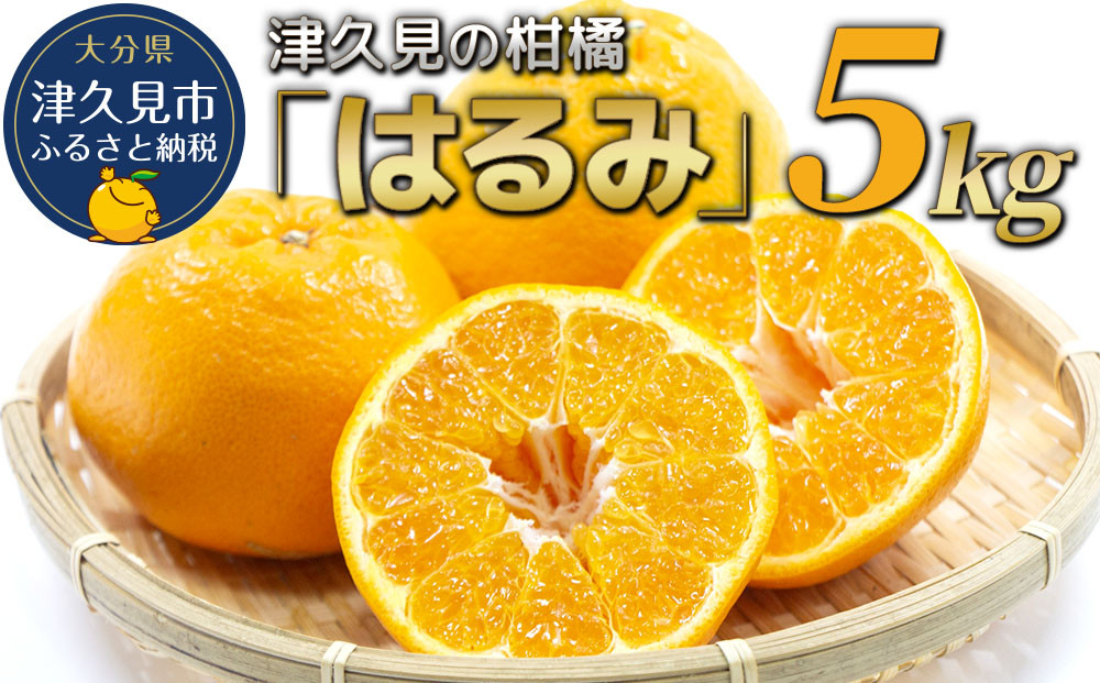 
                  みかん【先行予約】津久見のみかん はるみ 5kg | みかん5kg おすすめみかん ミカン 蜜柑 オレンジ 果実 旬のフルーツ 大分県産 九州産 津久見市 国産
                