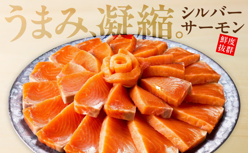 サーモン 定期便 1kg×全3回【ポーション 訳あり サイズ不揃い 刺身 海鮮丼 さーもん サラダ カルパッチョ 鮭 さけ シャケ しゃけ 人気 小分け 冷凍 家計応援】 099Z346_イメージ2