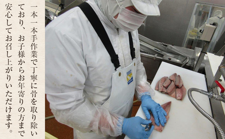 訳あり　2L金華さばフィレ 10枚 冷凍 鯖 サバフィレ 骨取り 焼き魚 煮物 切り身