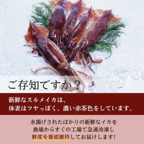【鮮度そのまま急速冷凍】冷凍スルメイカ 小サイズ 30尾入り いか 刺身 イカ いかめし イカ焼き いか塩辛
