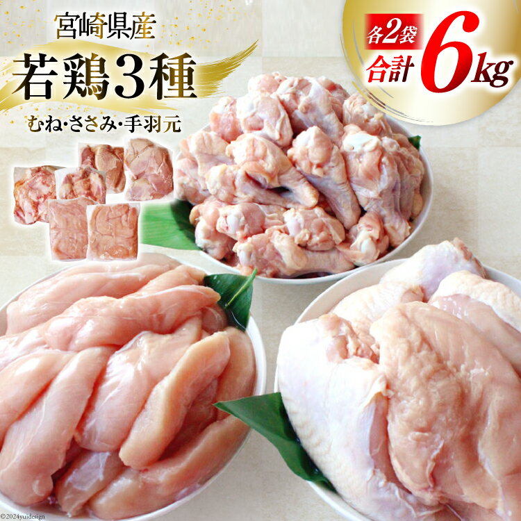 【ふるさと納税】鶏肉 若鶏 むね肉 ささみ 手羽元 セット 各 1kg ×2 計 6kg [九州児湯フーズ 宮崎県 美郷町 31ai0011-NEW] 肉 鶏 むね ムネ ササミ 冷凍 宮崎県産 小分け 詰め合わせ