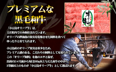 牛肉 オリーブ牛 肩ロース すき焼き用 香川県産 牛肉【500g】