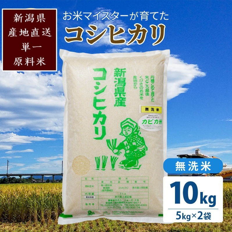 令和5年産 お米マイスターが育てた上越産コシヒカリ10kg(5kg×2) 無洗米 精米 こしひかり 米 新潟県産 産直