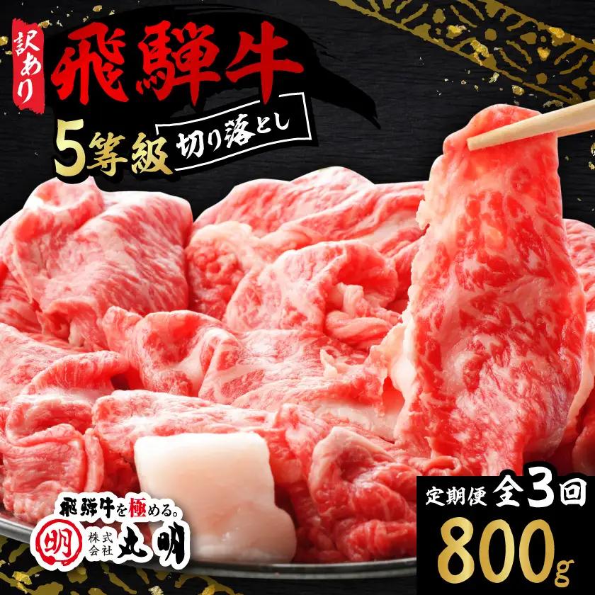 【毎月定期便】【訳あり】飛騨牛5等級　切り落とし用途いろいろ　800g全3回【配送不可地域：離島】【4088466】