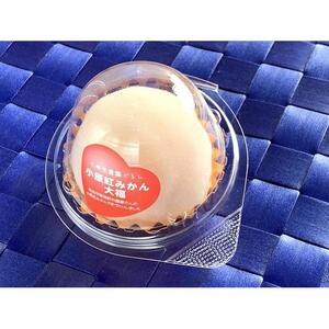 小原紅みかん大福（85g×6個）+小原紅みかんアイス大福（70g×6個）セット｜配送不可地域：北海道・沖縄県・離島｜ふるさと 納税 返礼品 お取り寄せ 取り寄せ グルメ 柑橘 スイーツ お菓子 スィー