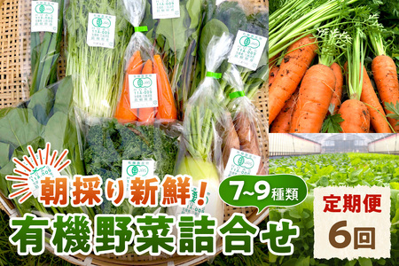 朝採り新鮮！有機野菜セット詰合せ（7～9種類）6回コース【定期便】 定期便 採れたて 産地直送 葉物 有機JAS認証 野菜セット 旬の野菜 野菜【139_1920】