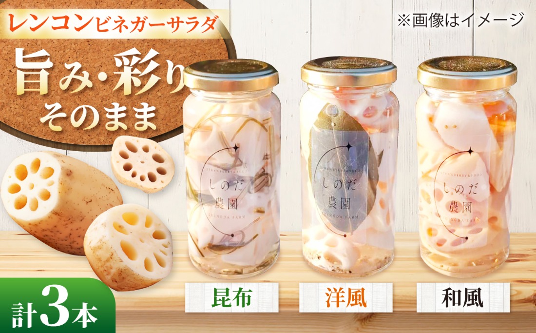 レンコンビネガーサラダ 3本（和風・洋風・昆布） ビネガーサラダ 常備菜 おかず 愛西市 / しのだ農園-SHINODA FARM-[AECE008]